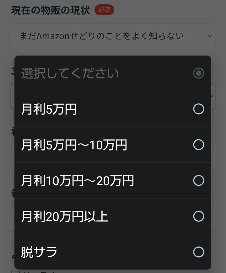 回答フォームの「3か月後の目標」の選択肢。月利5万円、月利5万円〜10万円、月利10万円〜20万円、月利20万円以上、脱サラが並んでいる